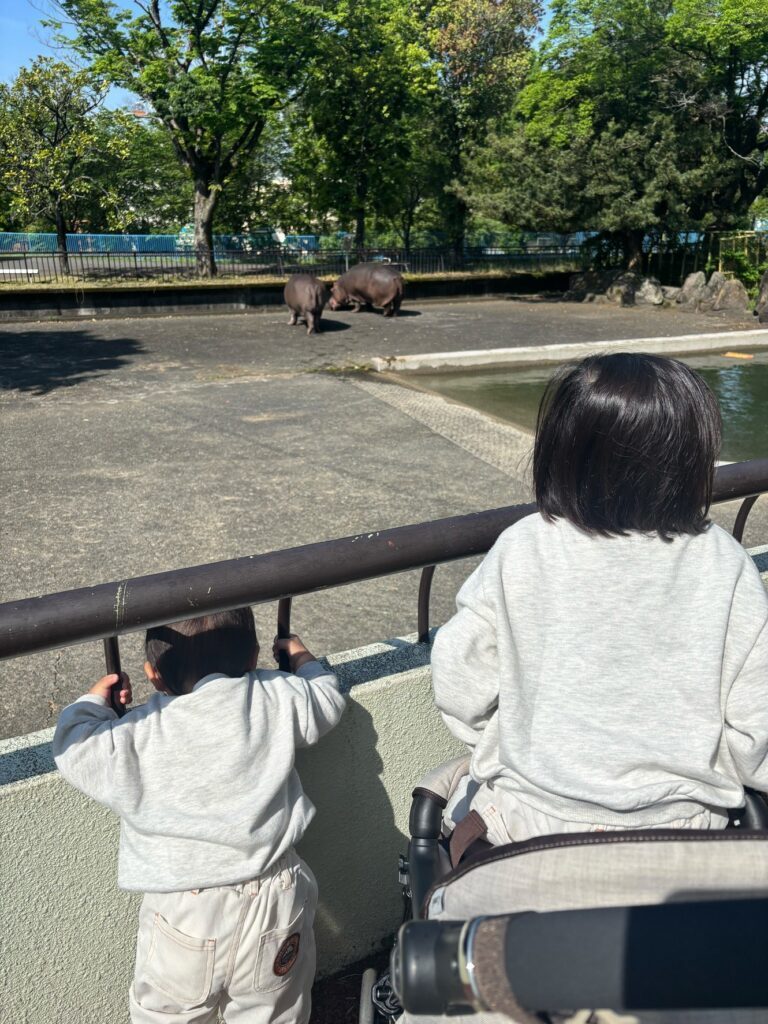 動物園で動物を観察する様子①（＠suikoro_22さんより提供）