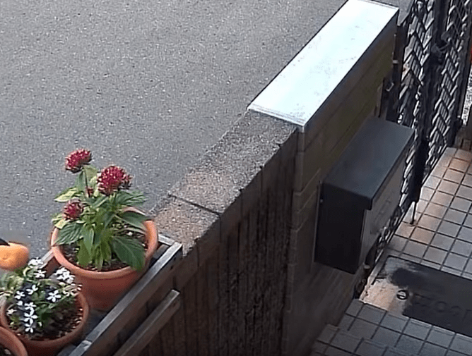 植木鉢で発見された”ドーナツ”に違和感。「なんで…！？」→監視カメラを見返すと…「えーーー！？」「どこから」
