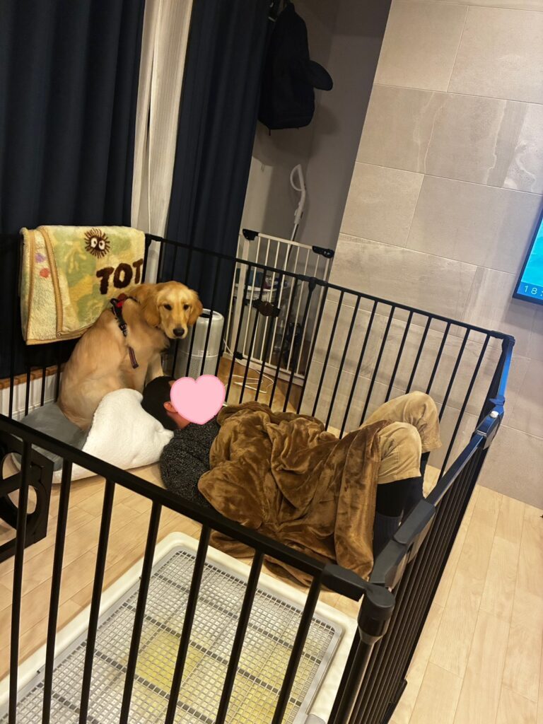 犬用ハウスで眠るお兄さん③（＠boku_omochi73さんより提供）