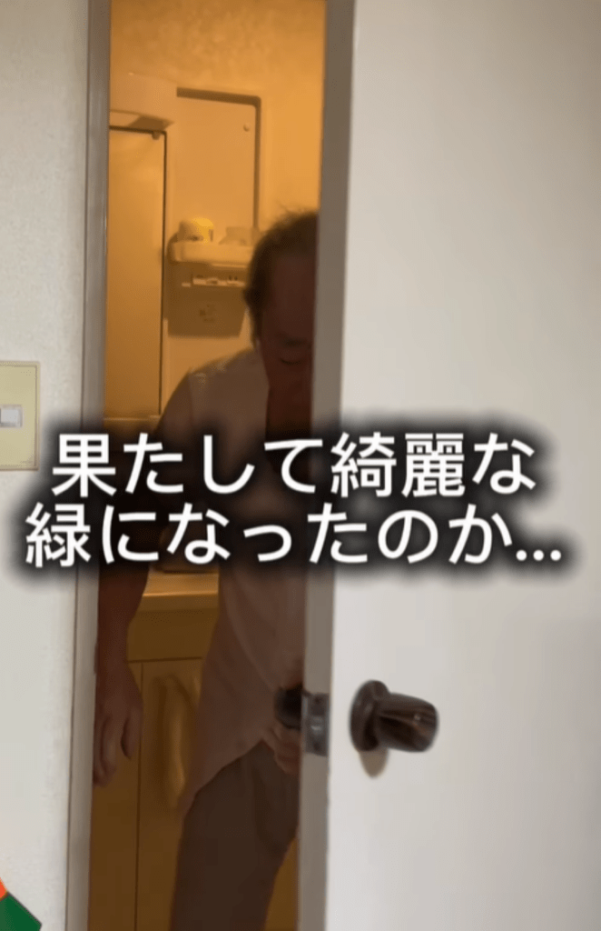 【実際の写真】　変身後の様子