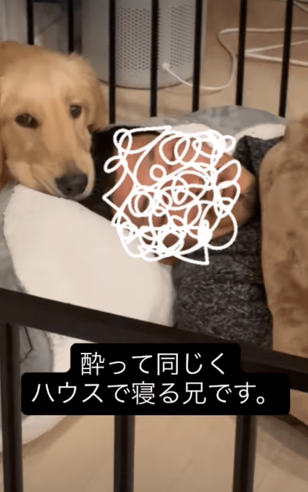 酔ってそのまま眠っていた兄、まさかの場所に「なんか看病されてる感じする」「かわいいww」