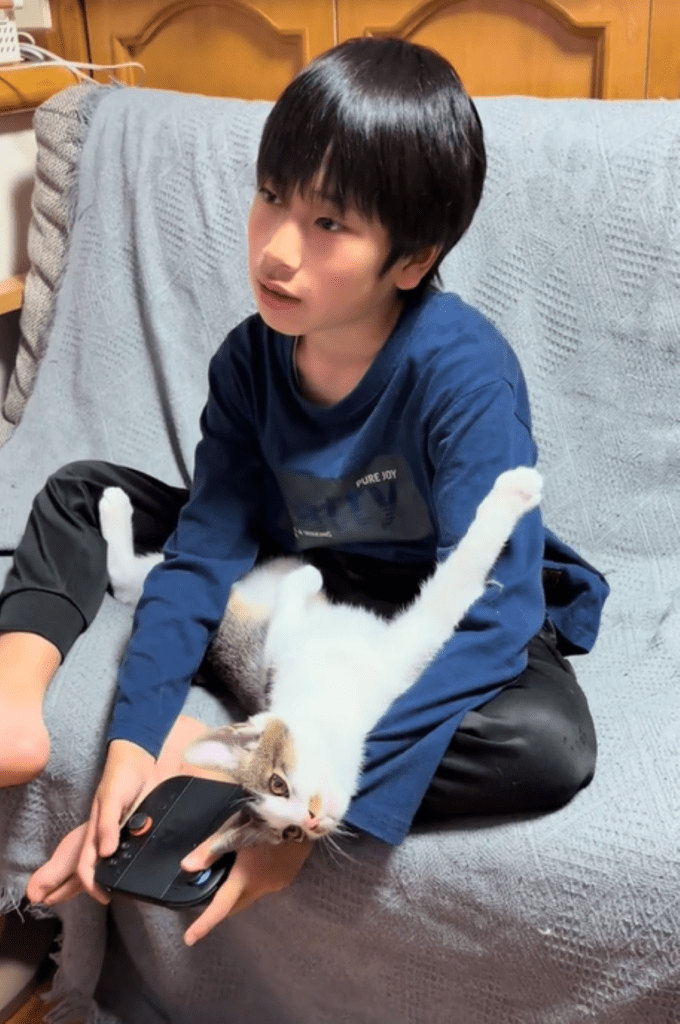ゲーム中の様子①（＠hogonekonoruiさんより提供）