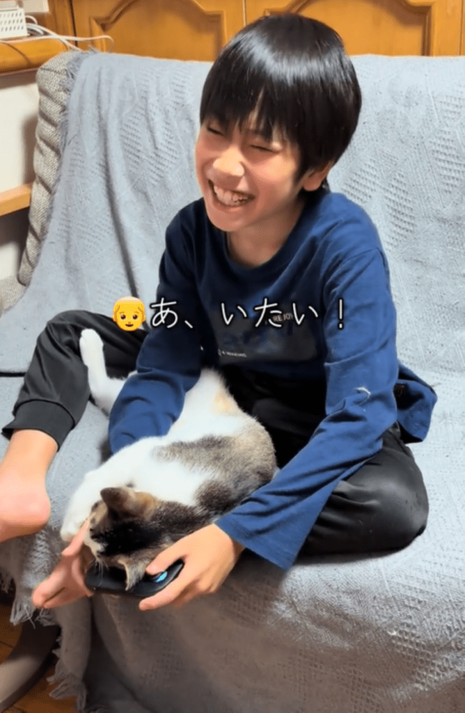 ゲーム中の様子②（＠hogonekonoruiさんより提供）