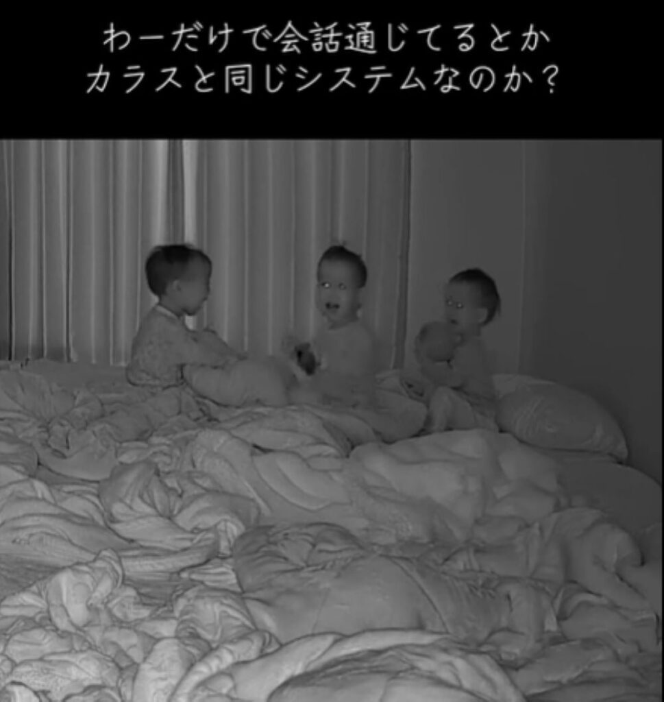 見守りカメラの様子②（＠tripletpapa3さんより提供）
