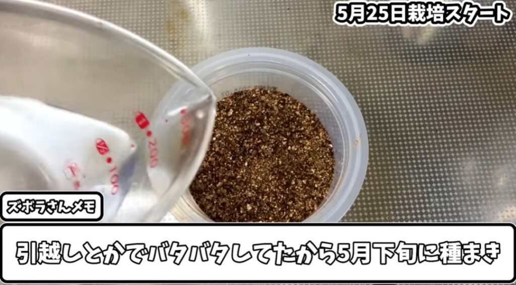 【実際の写真】　衝撃の光景