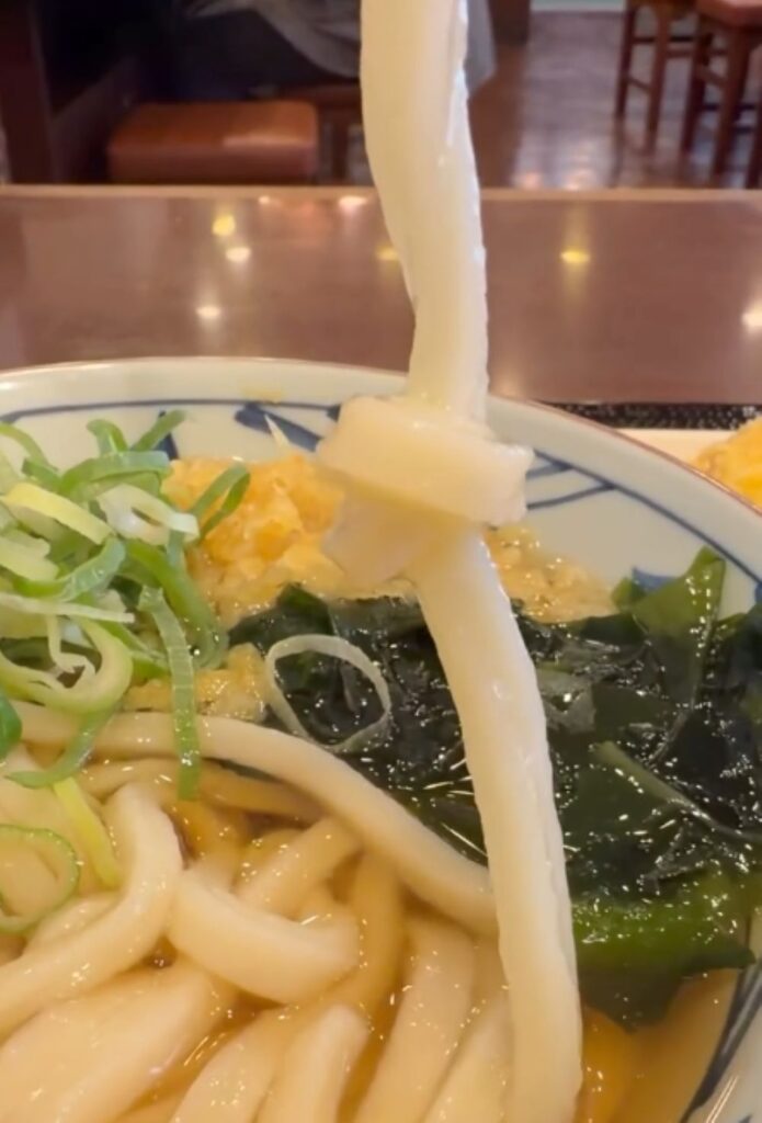 注文したうどん⑤（＠mayu_mikamiさんより提供）