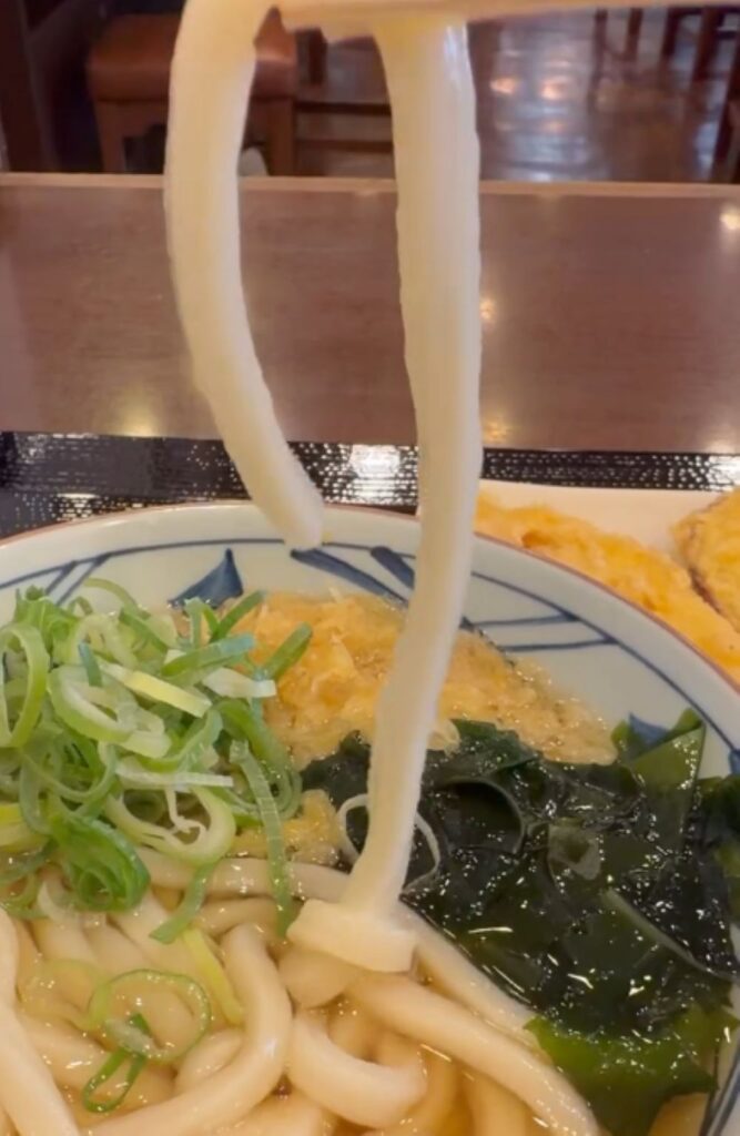 注文したうどん②（＠mayu_mikamiさんより提供）