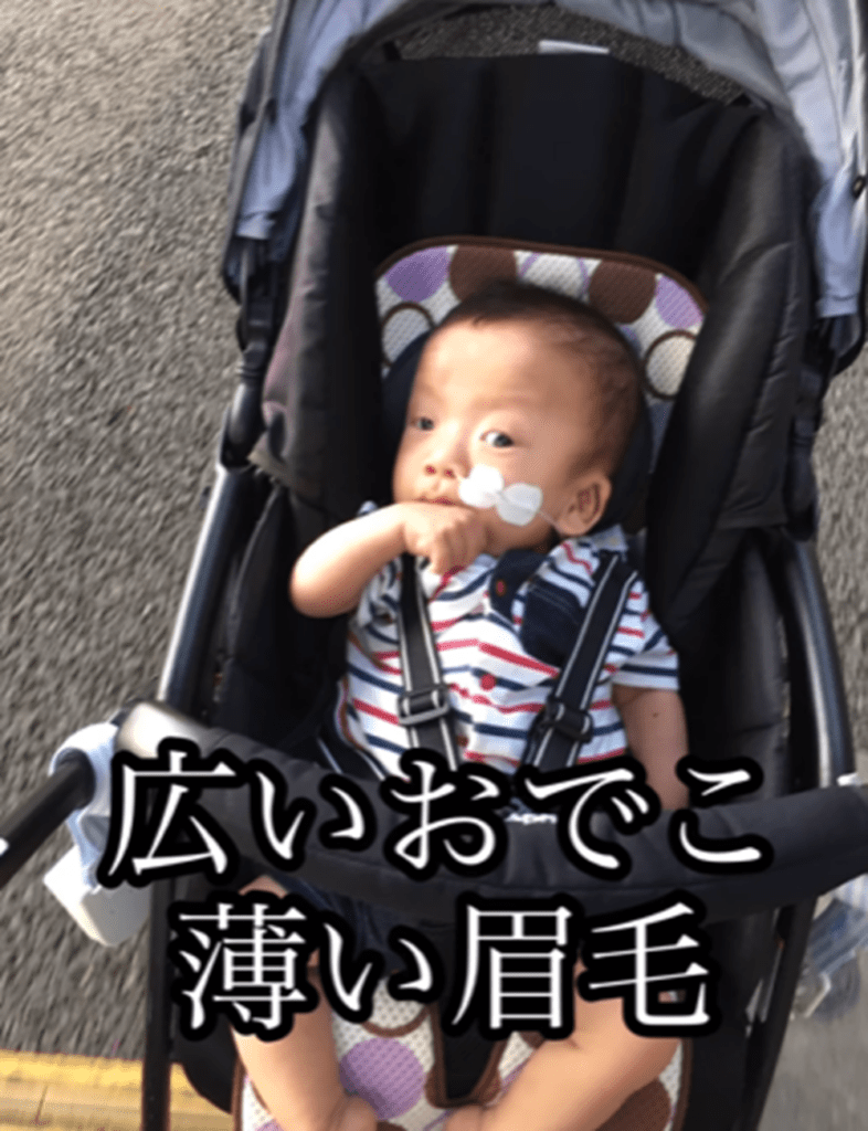 特徴①（中村さんより提供）