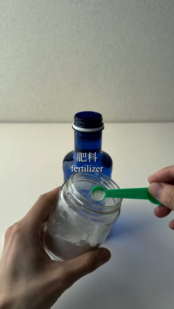 シソ栽培の様子⑨（『るい（水耕栽培）』さんより提供）