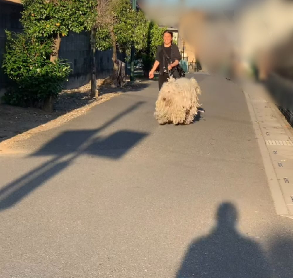 【実際の写真】　　投稿された写真