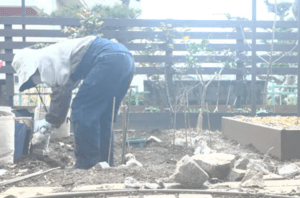 DIY素人の60歳妻が、庭に“いらない石”を積み上げていくと……衝撃の光景に「すごいなぁ～」「もう、家一軒建てちゃうぐらいの感じ」「素敵な生き方」
