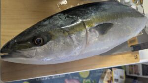 鮮魚店で購入したハマチに違和感。→出てきた”衝撃のモノ”に…「ええええ！？」