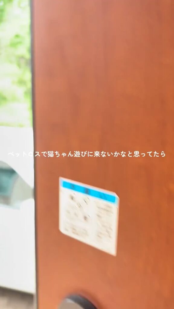 【実際の写真】　目撃した光景