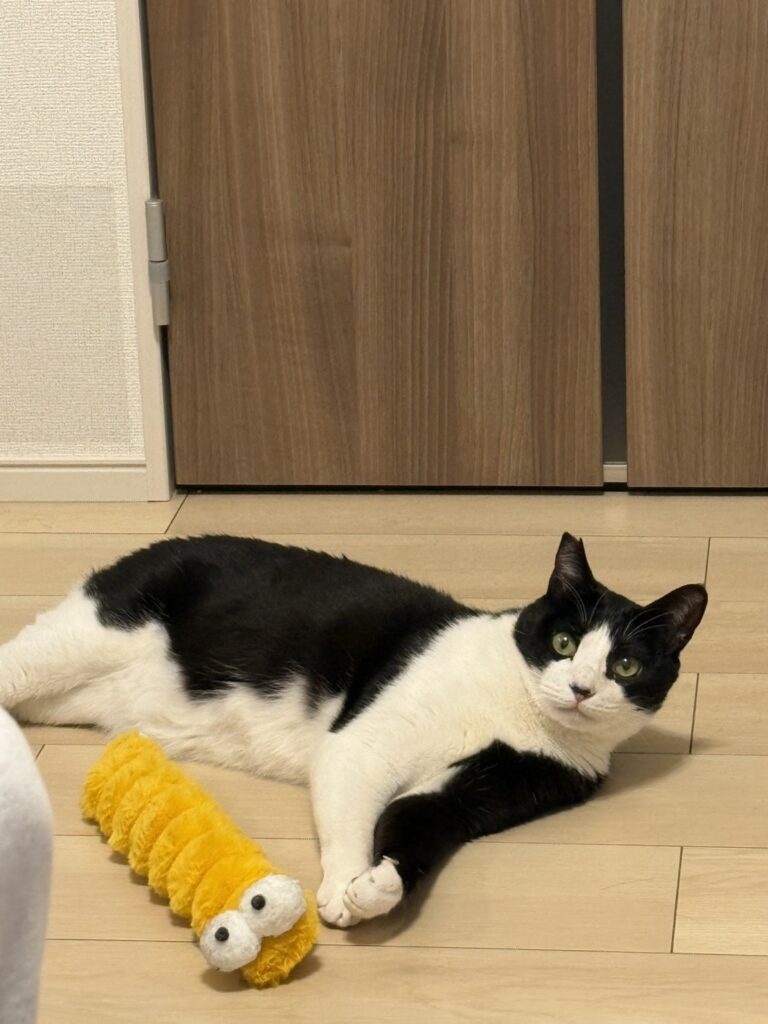 【実際の写真】　投稿された写真