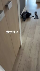 「ガサゴソ…」キッチンから聞こえる怪しい音。そっと近づくと…驚きの光景に「やべぇ！どうしよう」「うわ！！」「これはびっくり」