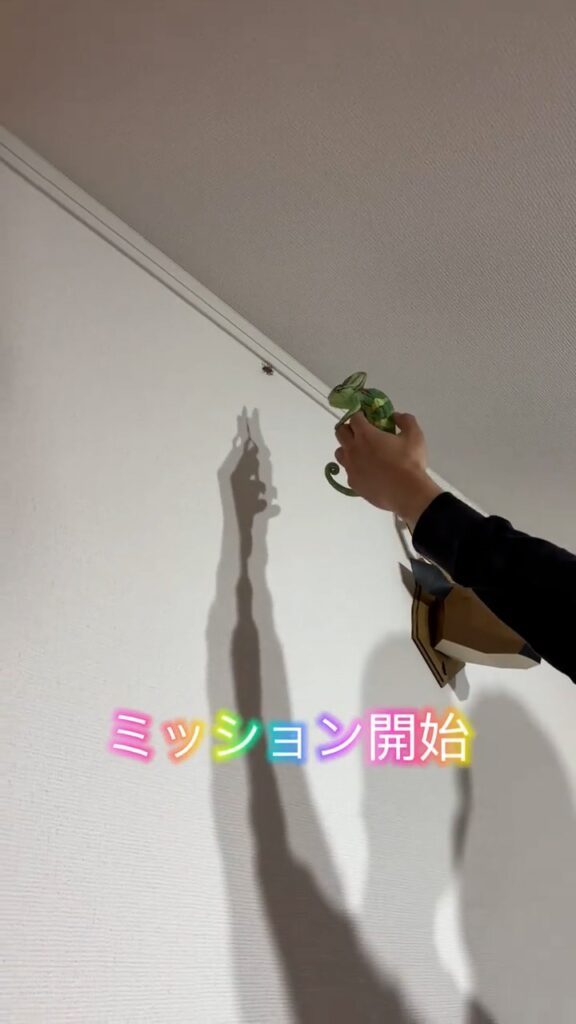 虫退治の様子①（＠chameleon20260227さんより提供）