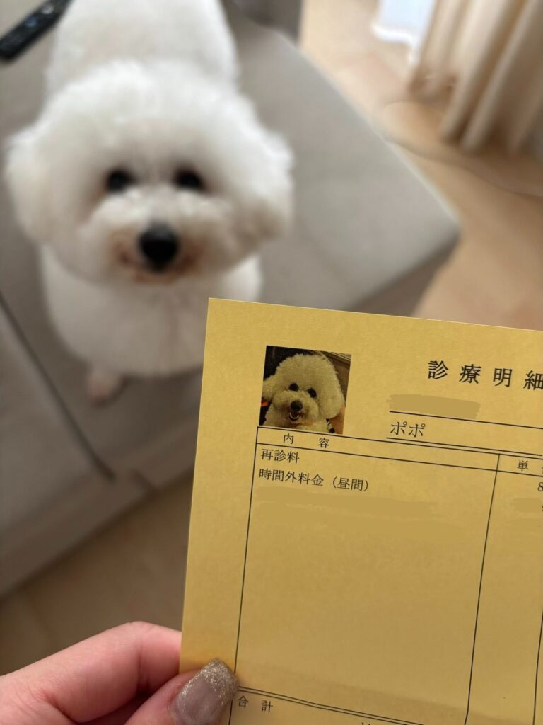 写真付きの診療明細書（＠aust5149さんより提供）
