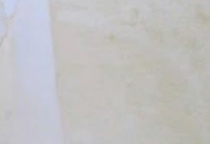 パティシエ志望の高3娘、先生に「無理じゃないか」と心配されたケーキを作ったら……　母驚きの作品に「すご！」「恐るべし才能」「精巧で美しい」