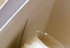 ケーキ屋さんでケーキを購入。しかし、帰宅後…まさかの光景に「前代未聞！」「最高ですねー！」「思いはひとつ！」