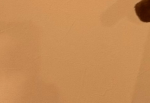 ダイソーで1歳娘が離さず、しぶしぶ購入した商品→しかしその後…母のまさかの投稿に「目から鱗」「良い仕事してますね」「これ買おかな」