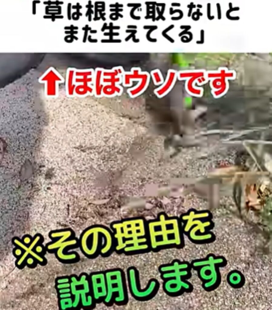 【実際の写真】　投稿された写真