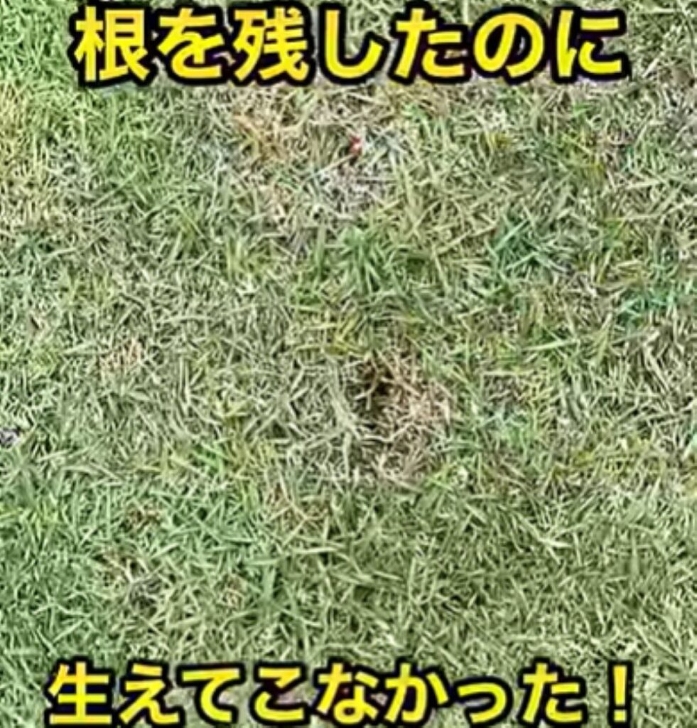 雑草対策③（＠TIM-LAWNさんより提供）
