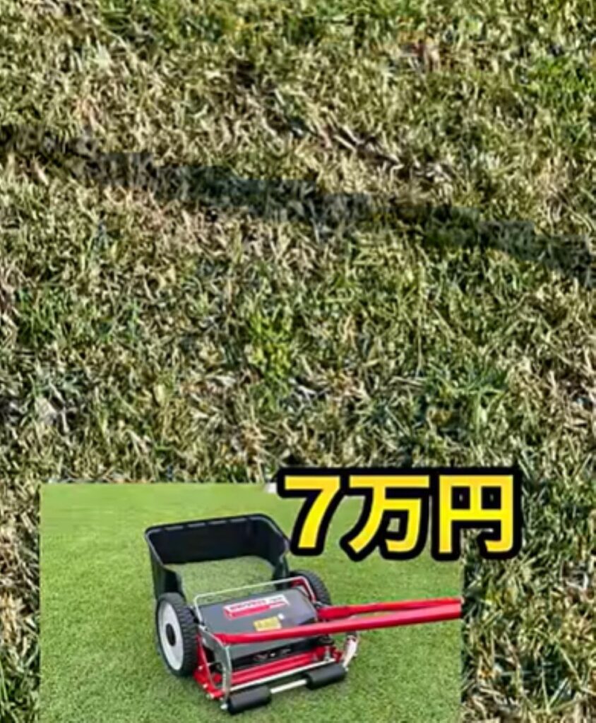 雑草対策④（＠TIM-LAWNさんより提供）