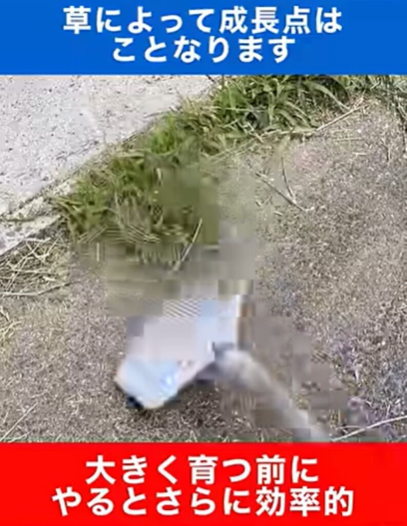 雑草対策⑩（＠TIM-LAWNさんより提供）