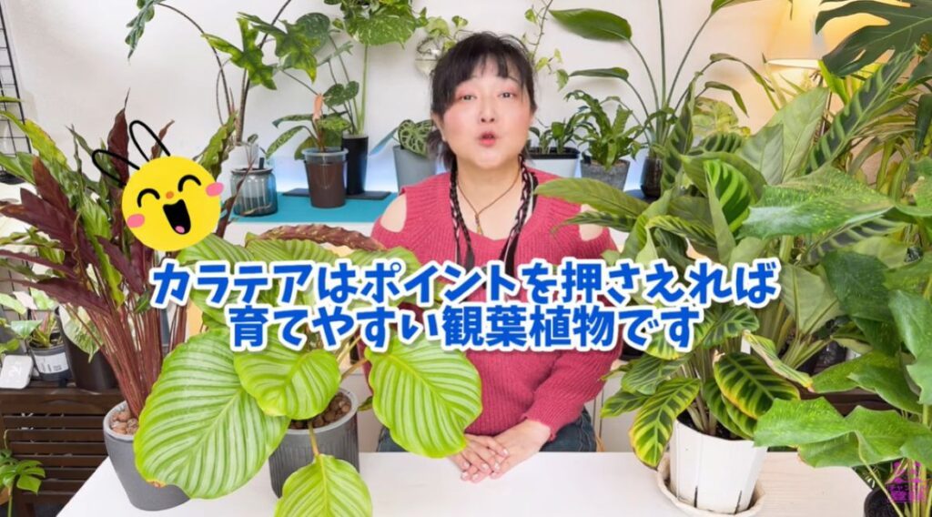 【実際の写真】　１年後の様子