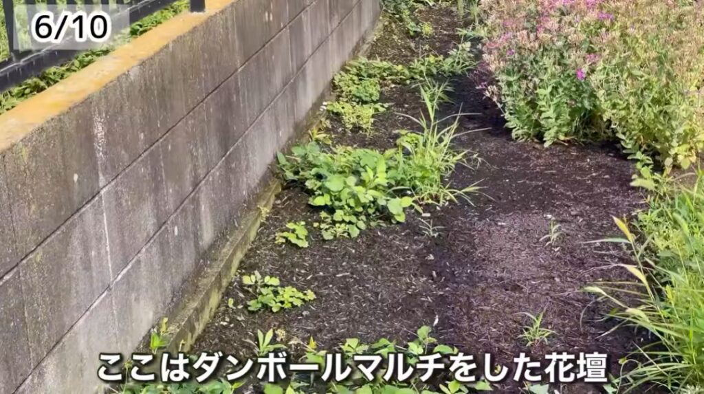 雑草対策③（＠JunNyan-kurashiさんより提供）