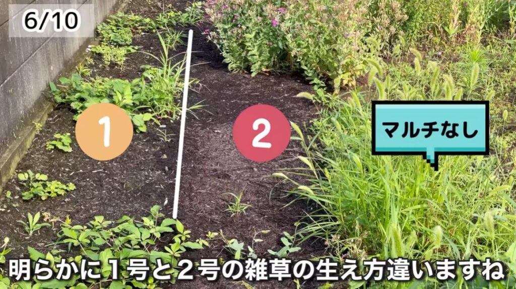 雑草対策⑥（＠JunNyan-kurashiさんより提供）