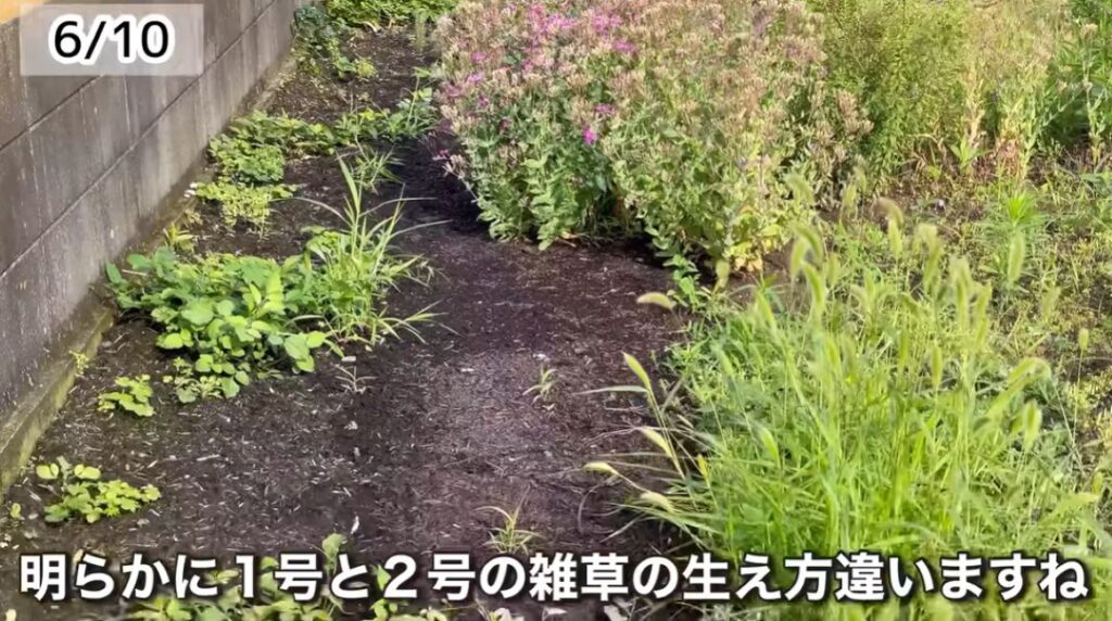 雑草対策⑤（＠JunNyan-kurashiさんより提供）