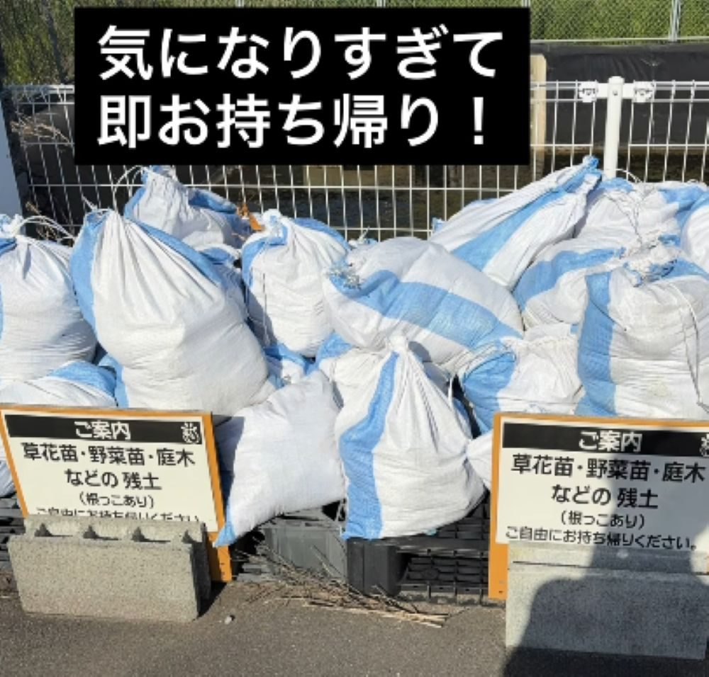 【実際の写真】　　驚きの中身の様子