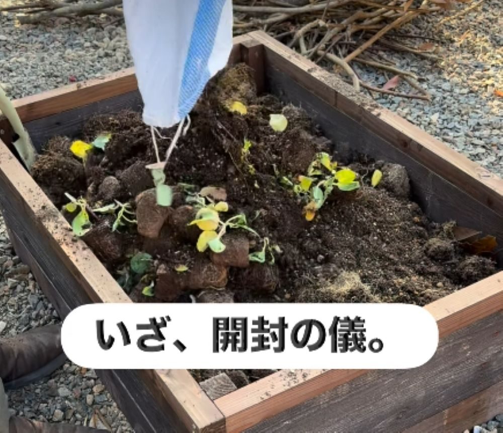 ホームセンターで見つけた残土③（＠kazu.chekさんより提供）