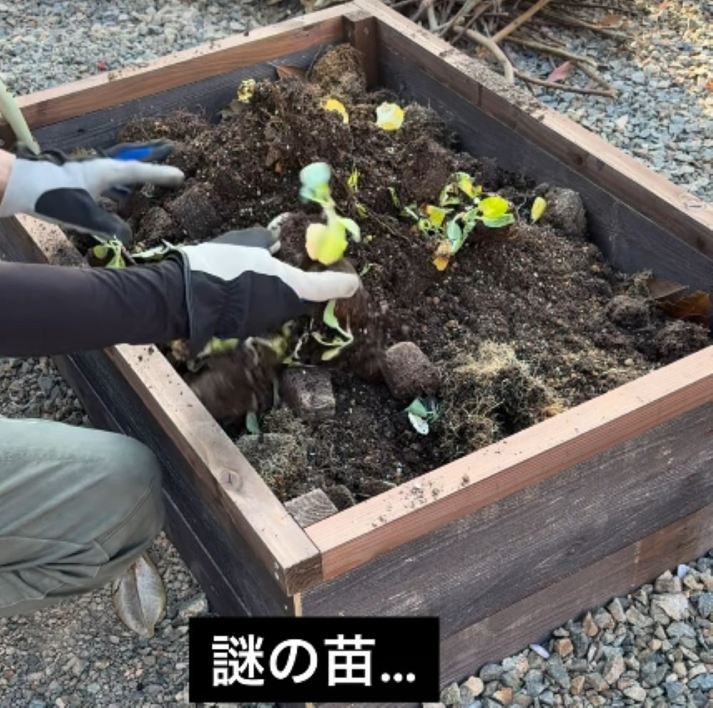 ホームセンターで見つけた残土④（＠kazu.chekさんより提供）
