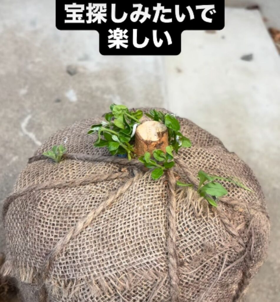 ホームセンターで見つけた残土⑥（＠kazu.chekさんより提供）