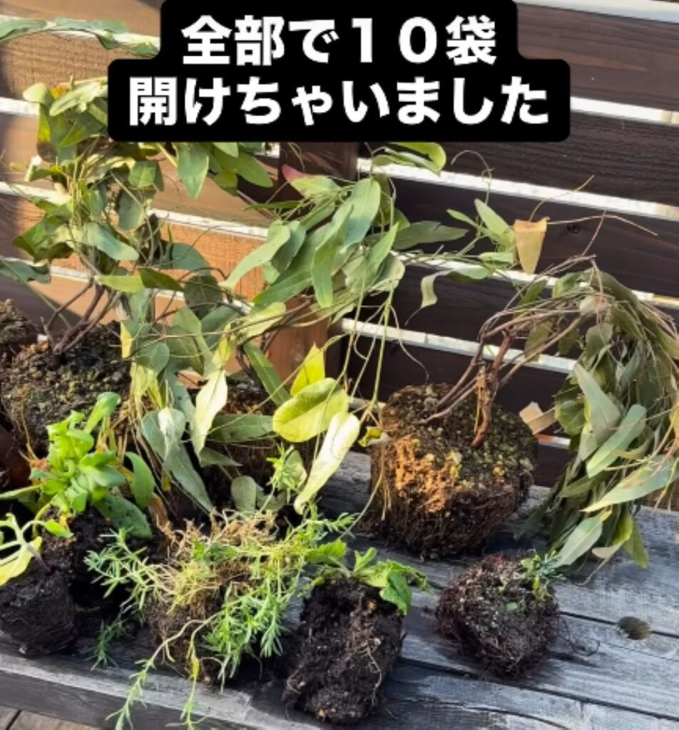 ホームセンターで見つけた残土⑦（＠kazu.chekさんより提供）