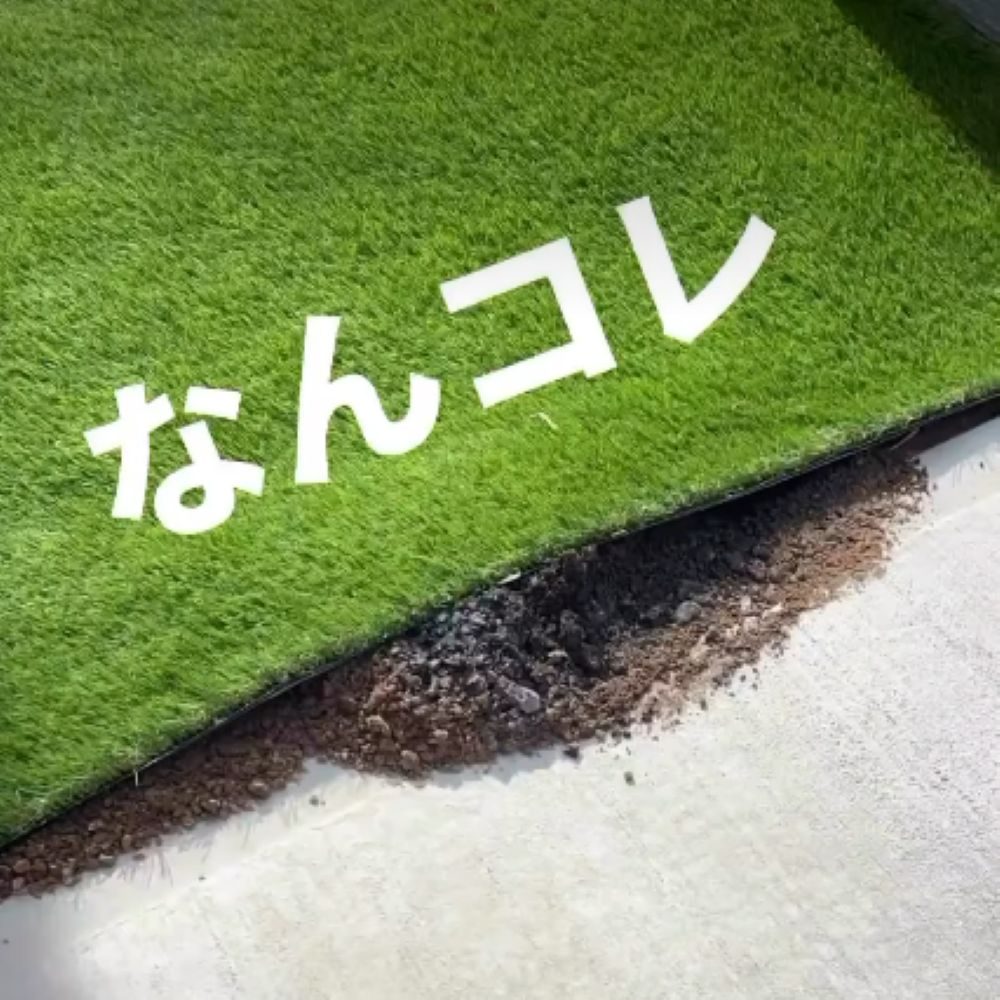 【実際の写真】　　投稿された写真