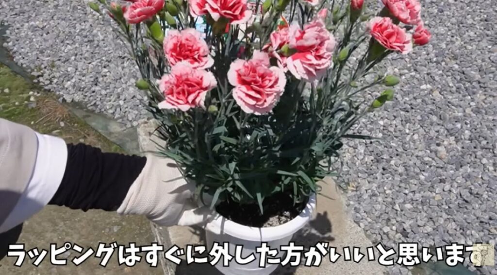【実際の写真】　　投稿された写真