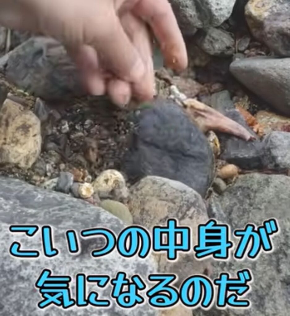 目的の石を探している様子②（＠snake-hitoriasobiさんより提供）