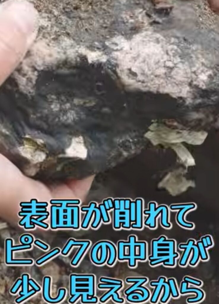 目的の石を探している様子③（＠snake-hitoriasobiさんより提供）