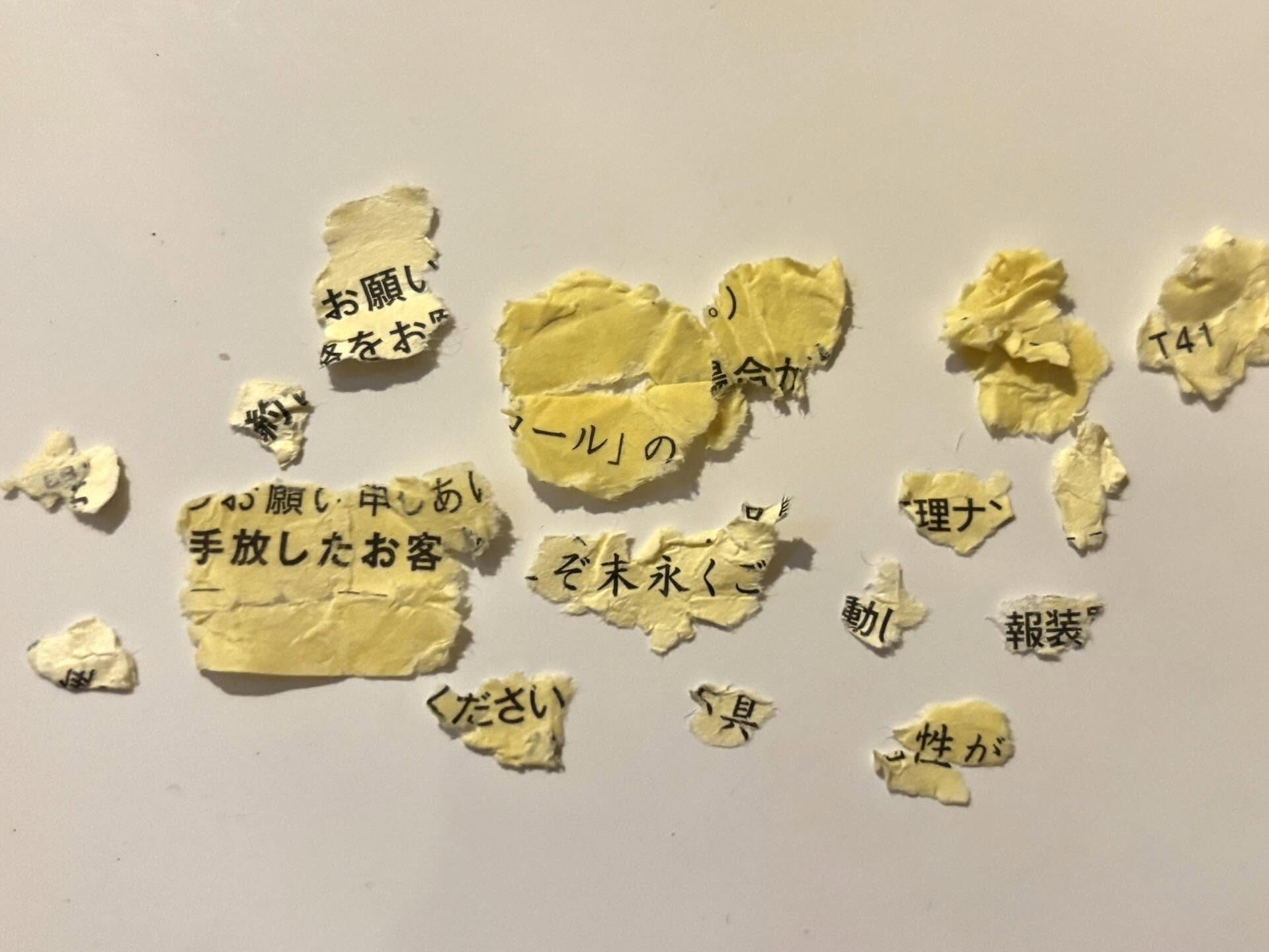 洗濯後に出てきた無数の紙切れ。SNSで助けを求めた結果…まさかの用紙に「特定班優秀すぎる」「さすがにムズいよー」