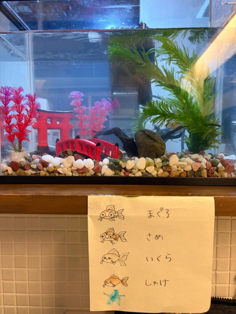 お迎えした金魚③（＠acreampuffさんより提供）