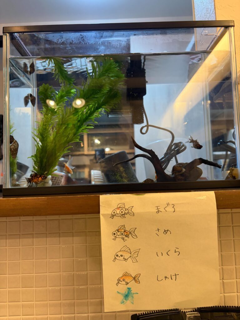 お迎えした金魚②（＠acreampuffさんより提供）