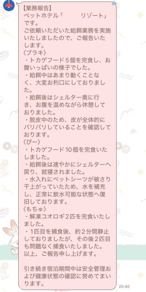 奥さんとのやりとり①（＠Namyu_Reptilesさんより提供）