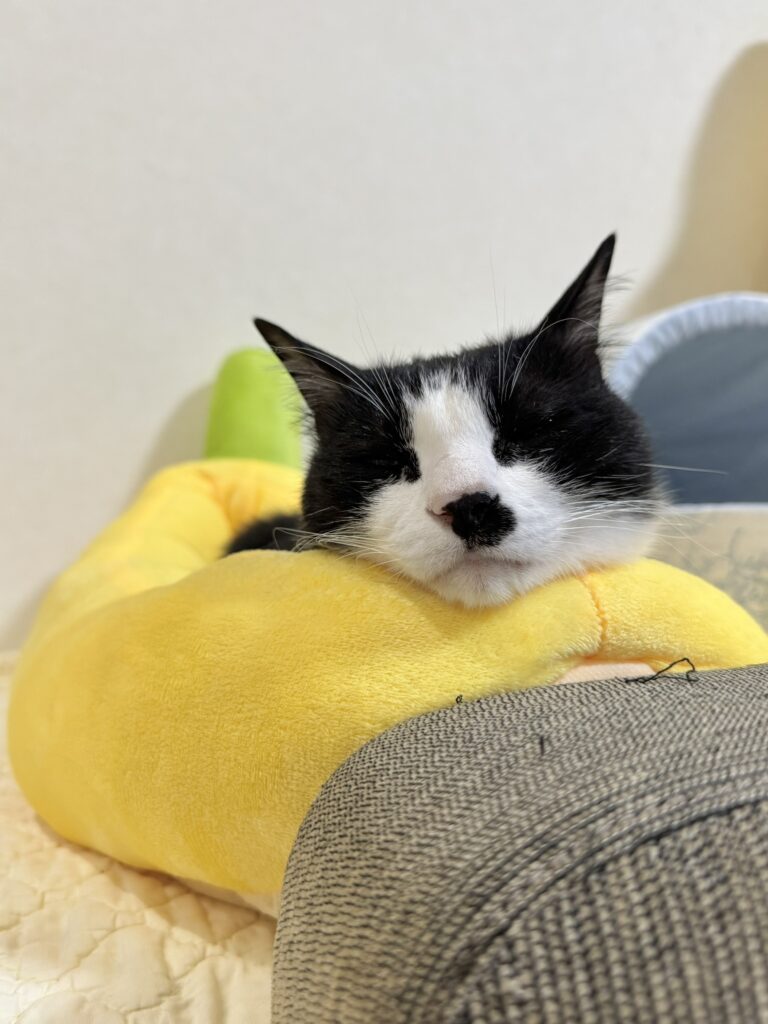 【実際の写真】　　投稿された写真