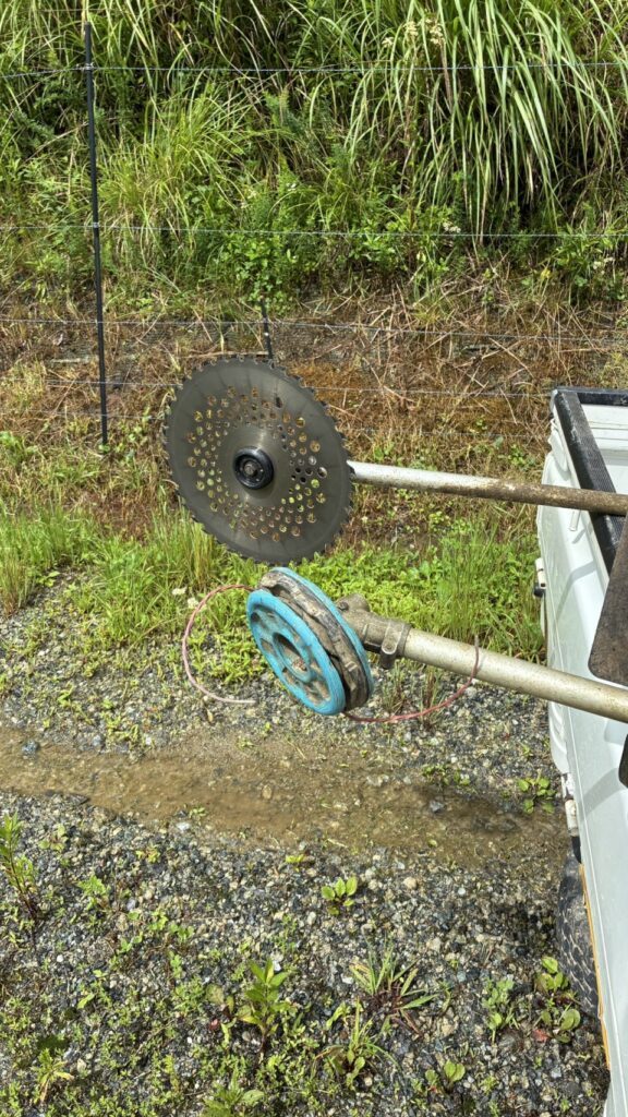 【実際の写真】　　投稿された写真