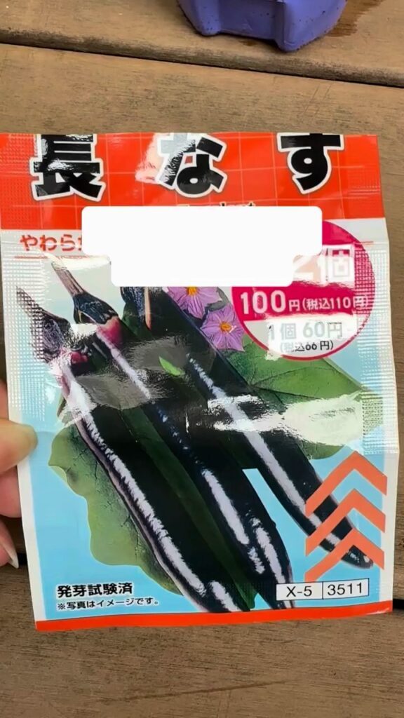 【実際の写真】　　現在の様子