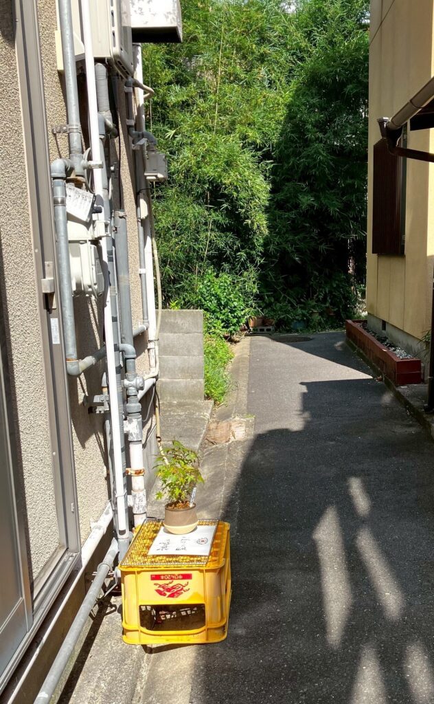 盆栽を日光浴させている路地①（＠chikako_k.mさんより提供）