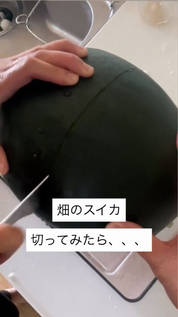 【実際の写真】　　投稿された写真